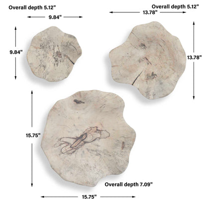 Teo - Wall Decor (Set of 3)