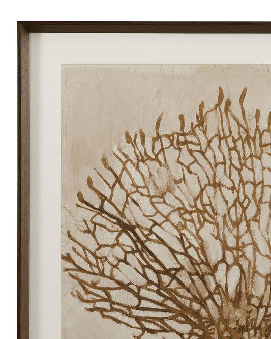 Neutral Seafan Framed Print - Light Brown
