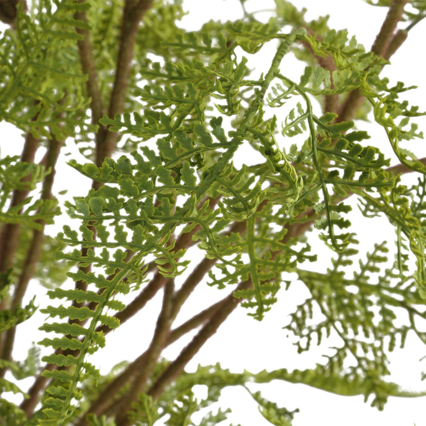 Woodland Fern - Centerpiece - Green