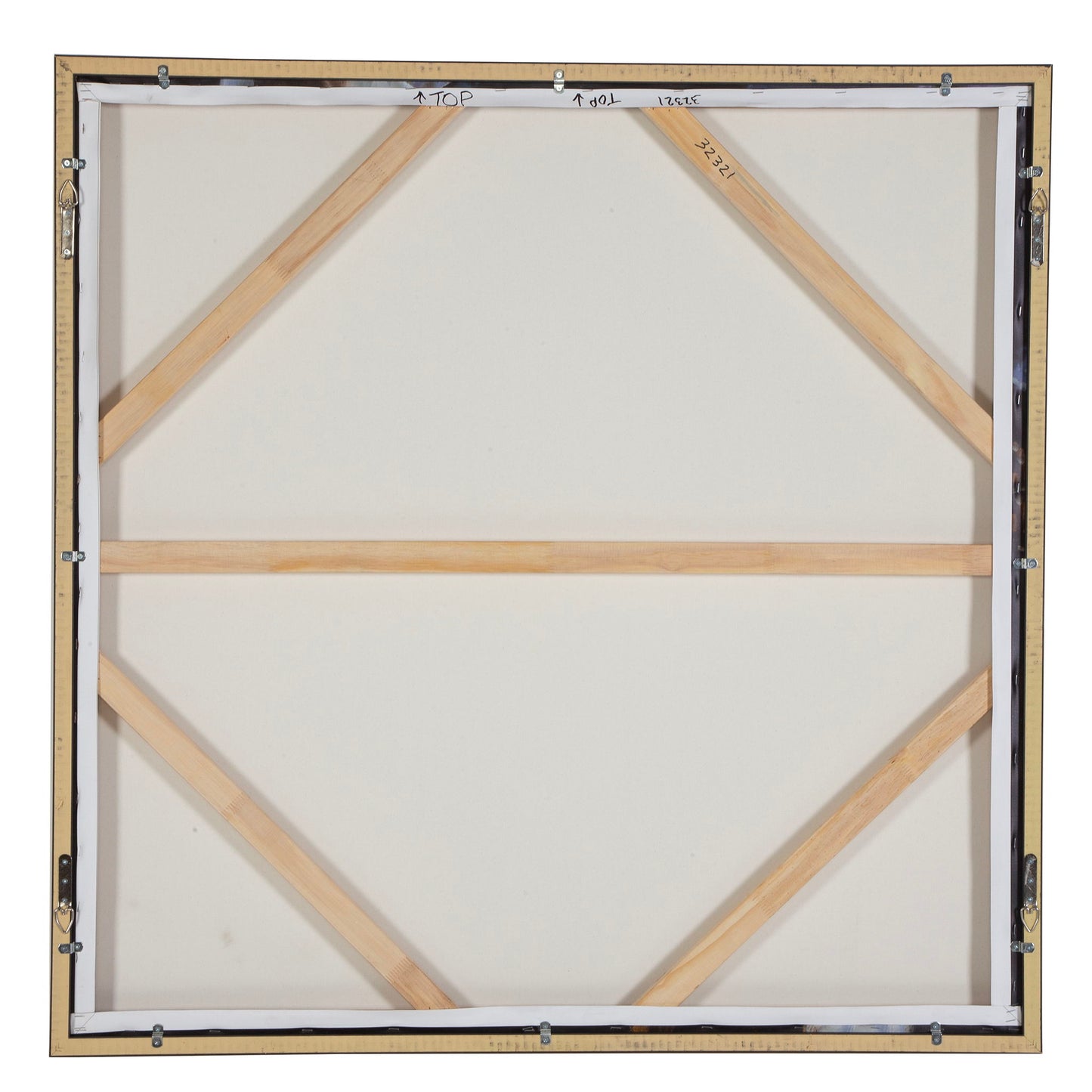 Natural Wonder - Framed Floral Art - Blue