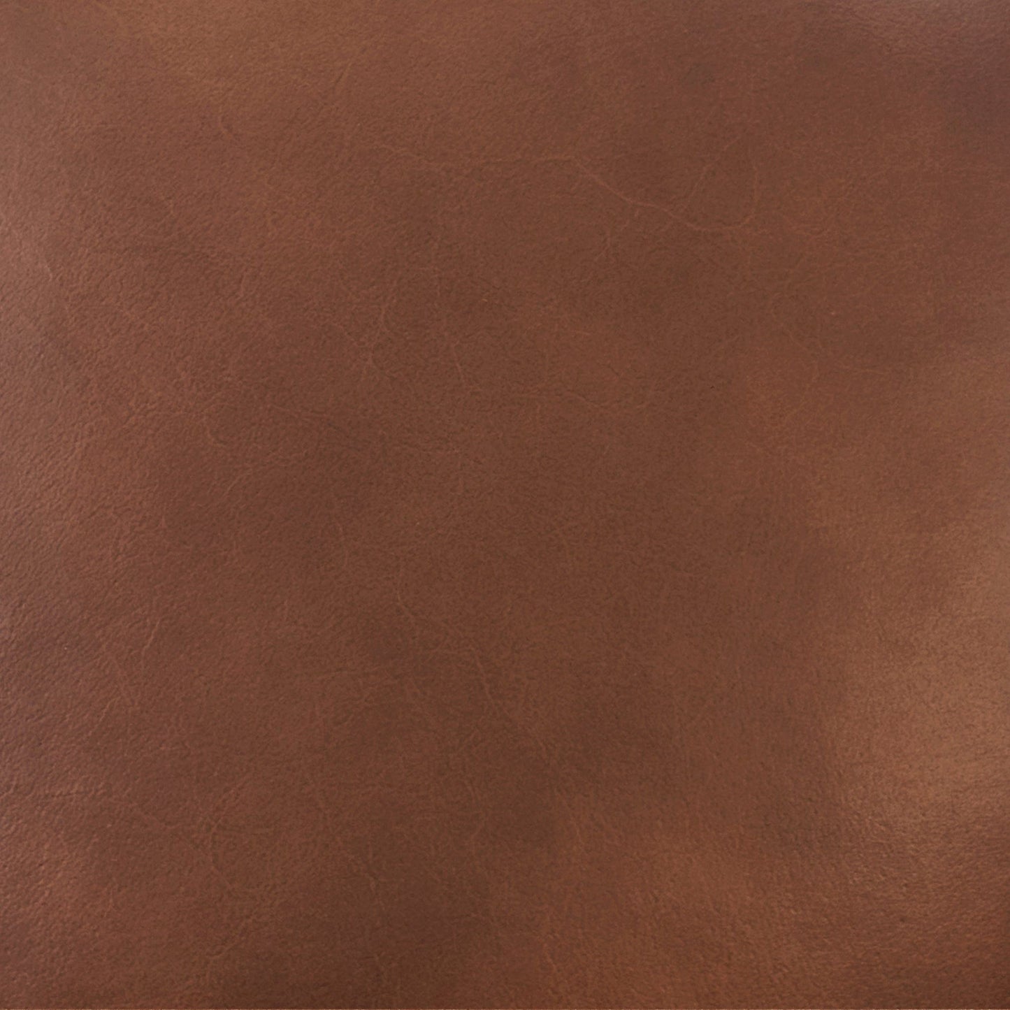 Alvaro - Leather Dining Chair (Set of 2) - Golden Wheat