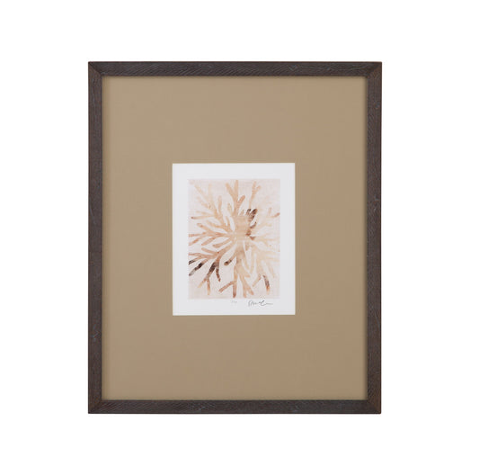 Parchment Coral II Framed Print - Brown