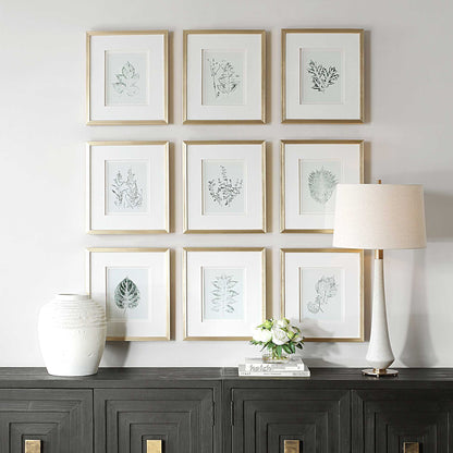 Nature's - Script Framed Botanical Prints (Set of 9) - Gold / Green / White