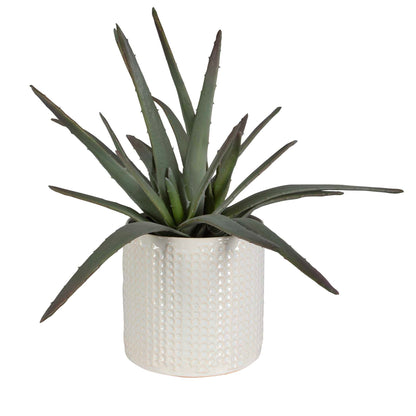 Taos - Aloe Centerpiece - Pearl Silver