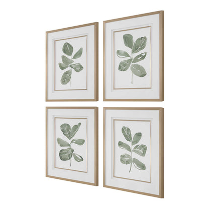 Fiddle Head - Leaf Botanical Prints (Set of 4) - Gold / Green / White