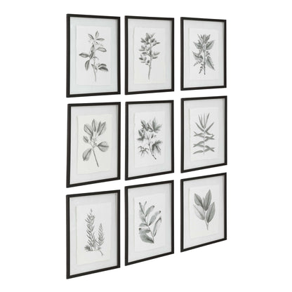 Farmhouse Florals - Framed Prints (Set of 9) - Black