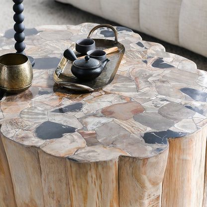 Norwest - Petrified Wood Coffee Table - Natural