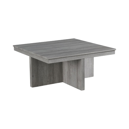 Uster - 2 Piece Occasional Set (Coffee Table And End Table) - Light Gray
