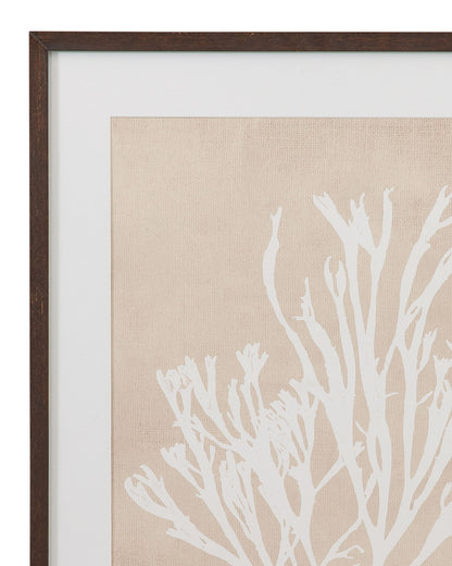Gracilaria Multipartita Framed Print - Beige
