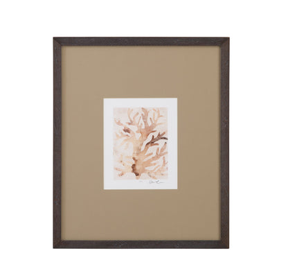 Parchment Coral III Framed Print - Brown