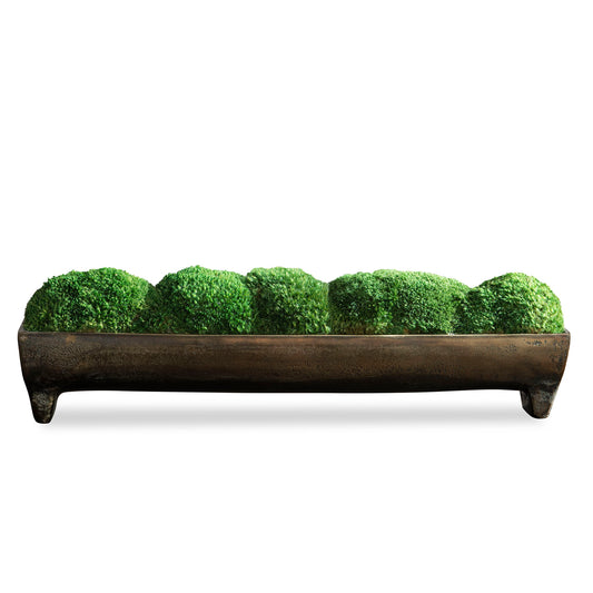 Canal - Moss Centerpiece
