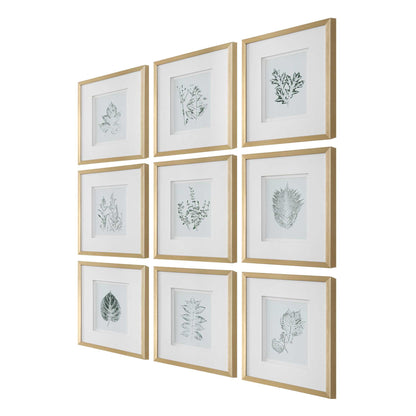 Nature's - Script Framed Botanical Prints (Set of 9) - Gold / Green / White