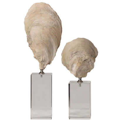 Oyster - Shell Sculptures (Set of 2) - Beige