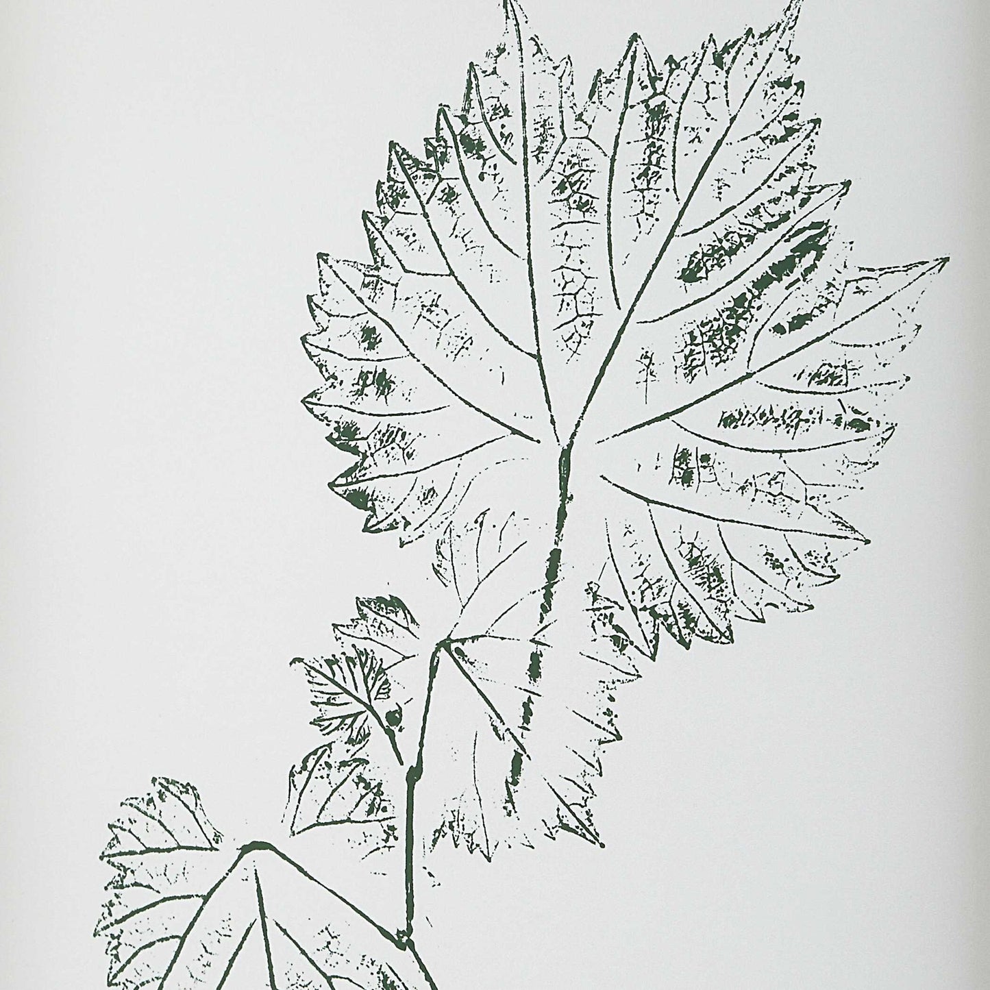 Nature's - Script Framed Botanical Prints (Set of 9) - Gold / Green / White