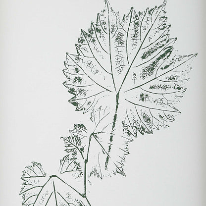 Nature's - Script Framed Botanical Prints (Set of 9) - Gold / Green / White