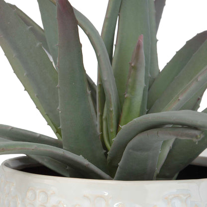 Taos - Aloe Centerpiece - Pearl Silver