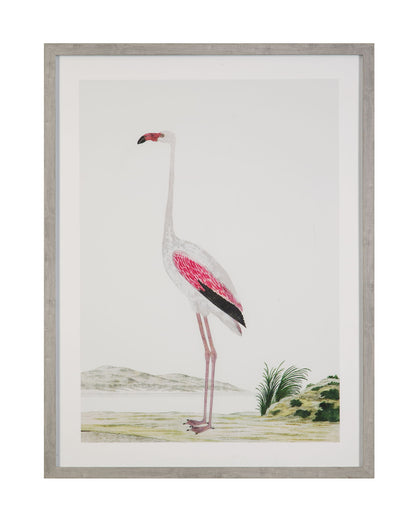 Vintage - Flamingo II Framed Print - Pink