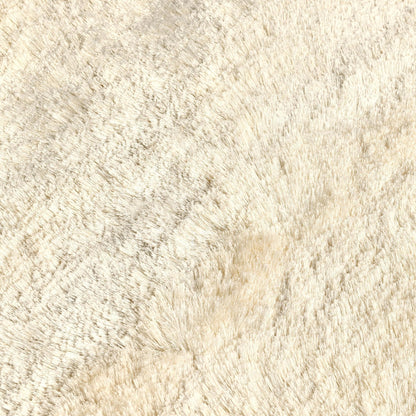 Carter - Shag Rug