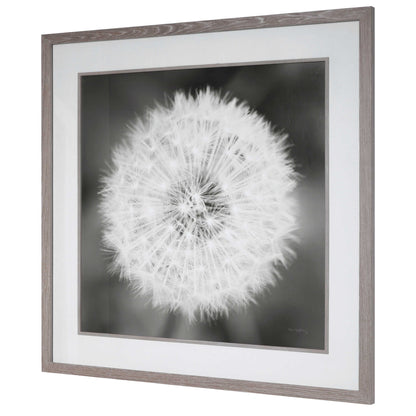 Dandelion Seedhead - Framed Print - Black